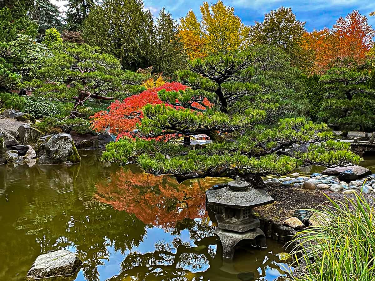 Botanical garden water feature